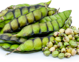 Jamaica  Fresh Gungo Peas 6.8kg